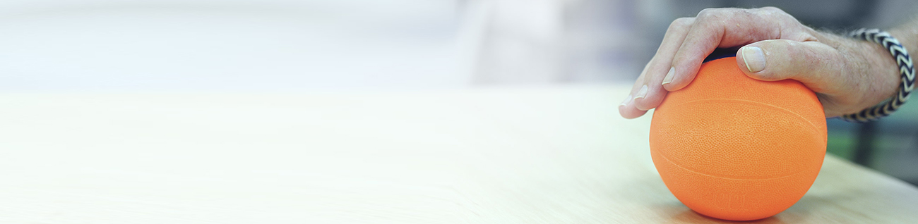 {alt_title}
