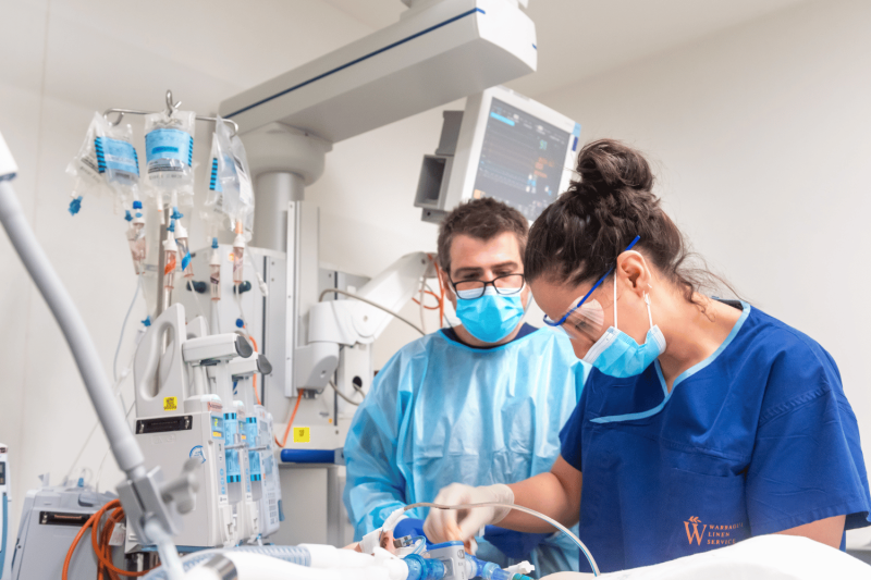 Healthcare workers wearing blue scrubs working