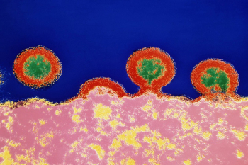 New research aims to unearth ‘hidden’ HIV article image