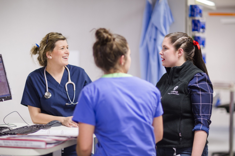 Trauma nurses talking to each other, handing over a patient